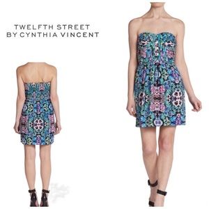Twelfth Street Cynthia Vincent pansy corset dress